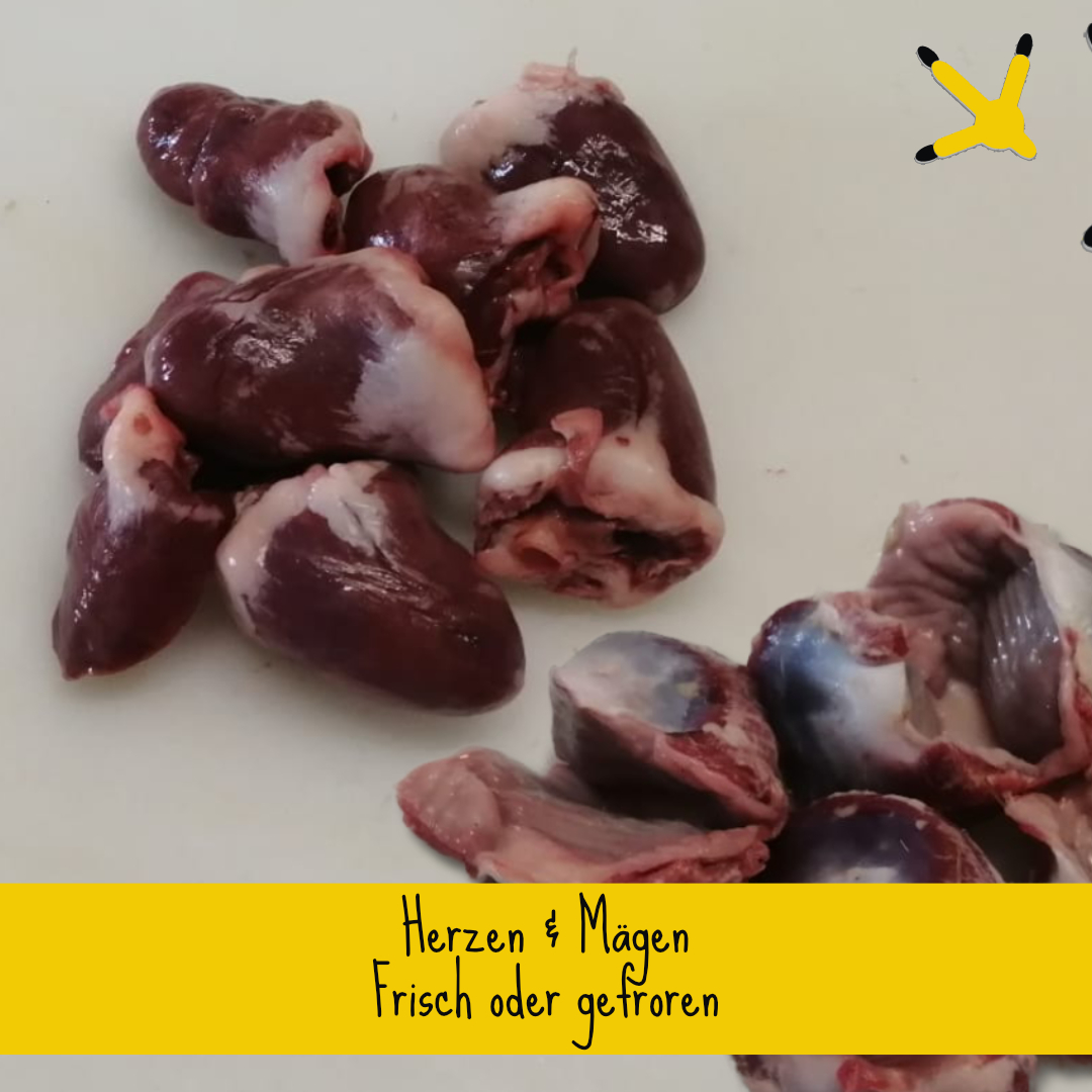 Frisches Geflügelfleisch für Hunde und Katzen